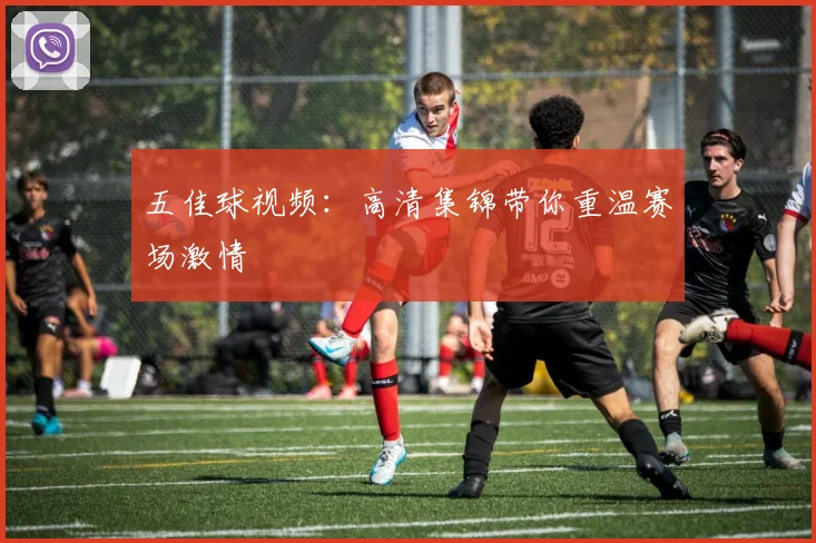 五佳球视频：高清集锦带你重温赛场激情