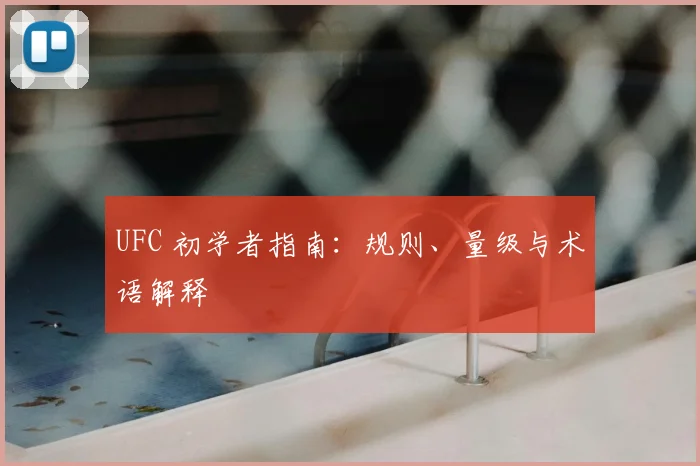 UFC 初学者指南:规则、量级与术语解释
