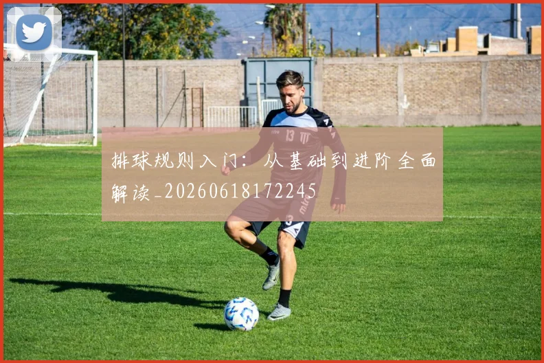 排球规则入门：从基础到进阶全面解读_20260618172245