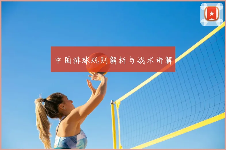 中国排球规则解析与战术讲解