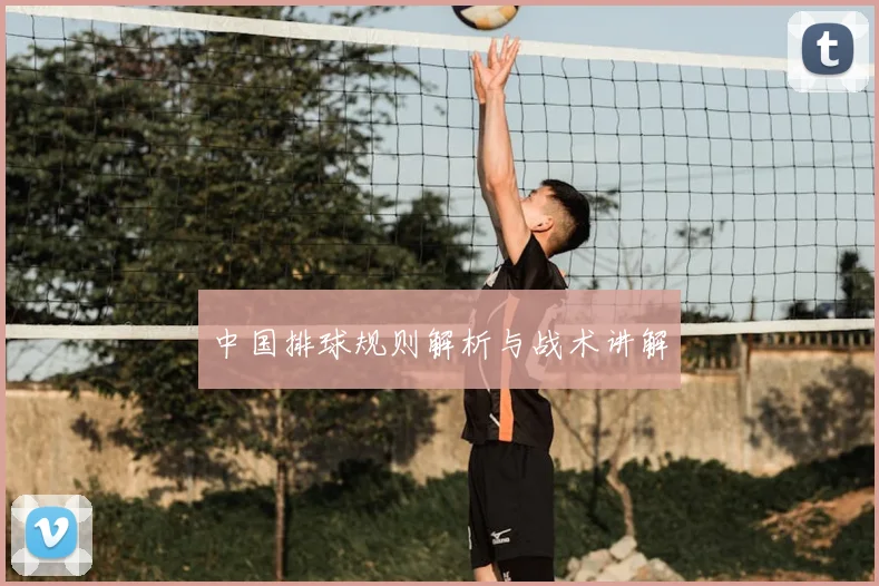 中国排球规则解析与战术讲解