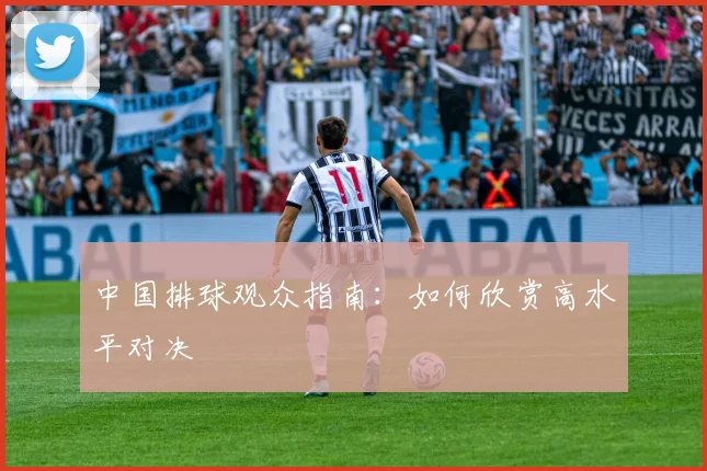中国排球观众指南：如何欣赏高水平对决