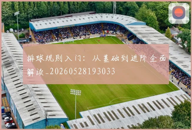 排球规则入门：从基础到进阶全面解读_20260528193033
