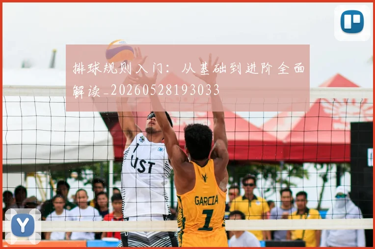 排球规则入门：从基础到进阶全面解读_20260528193033
