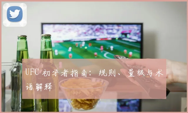 UFC 初学者指南：规则、量级与术语解释